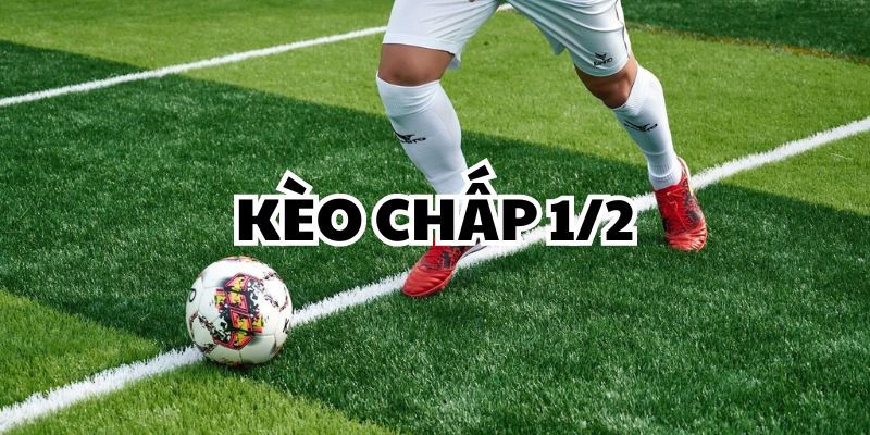 Kèo chấp 1/2 là gì? giải mã chi tiết từ A- Z từ ABC8